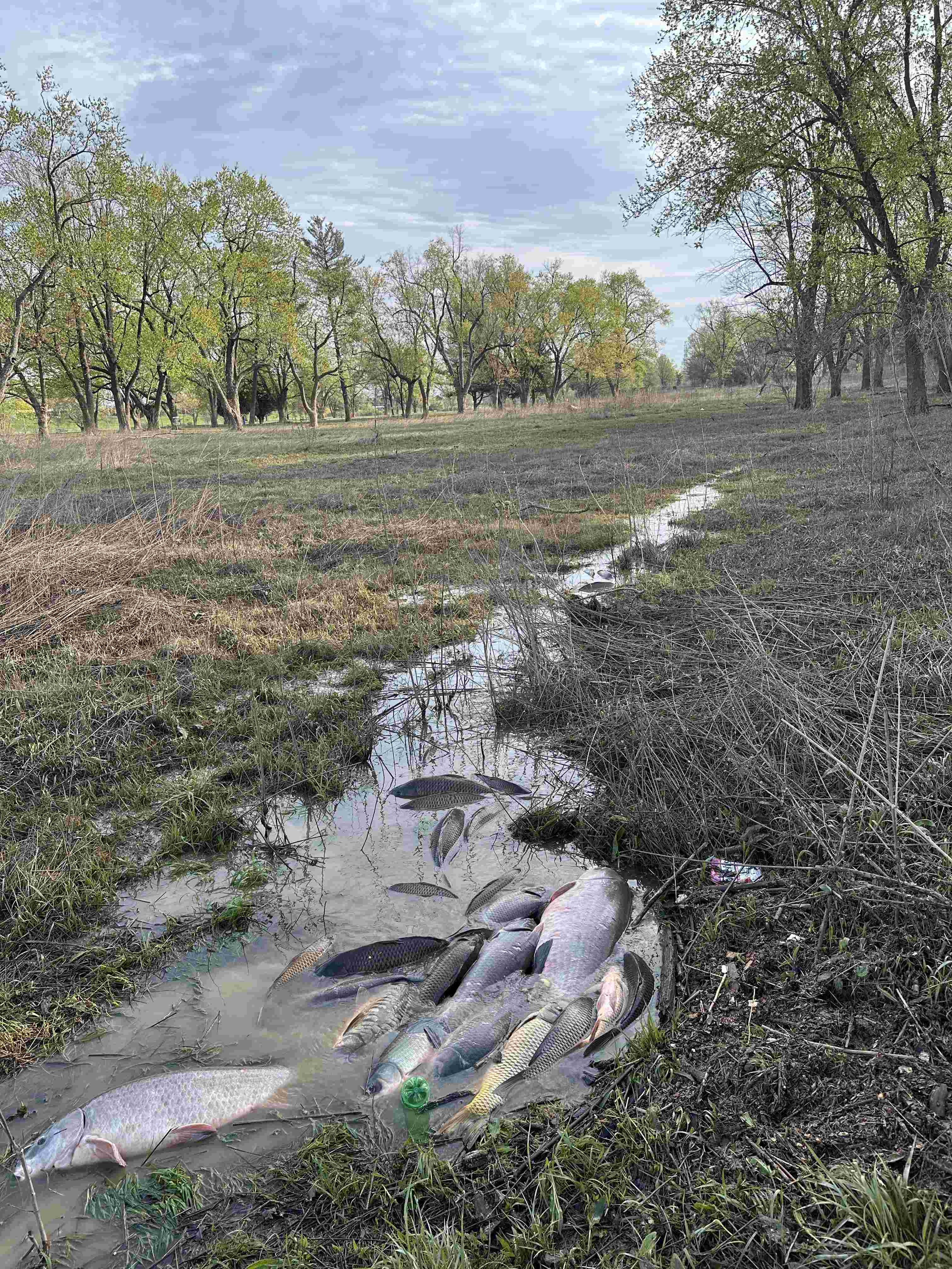 🌳 로쿠하 공원(로쿠하 코엔) 이미지 7
